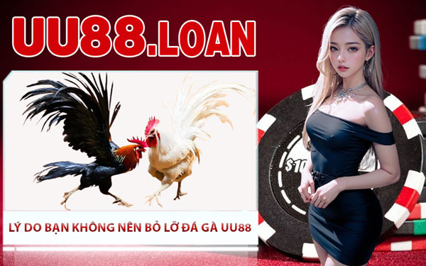 Lý Do Bạn Không Nên Bỏ Lỡ Đá Gà UU88