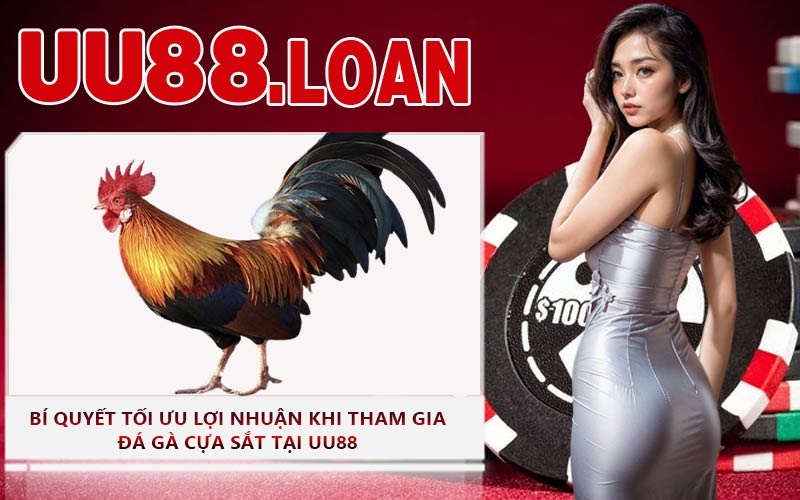 Bí Quyết Tối Ưu Lợi Nhuận Khi Tham Gia Đá Gà Cựa Sắt Tại UU88