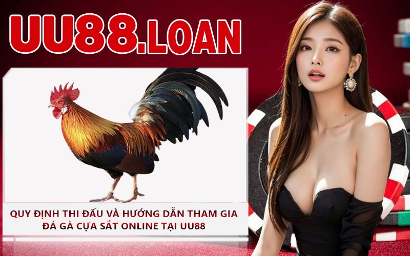 Quy Định Thi Đấu Và Hướng Dẫn Tham Gia Đá Gà Cựa Sắt Online Tại UU88